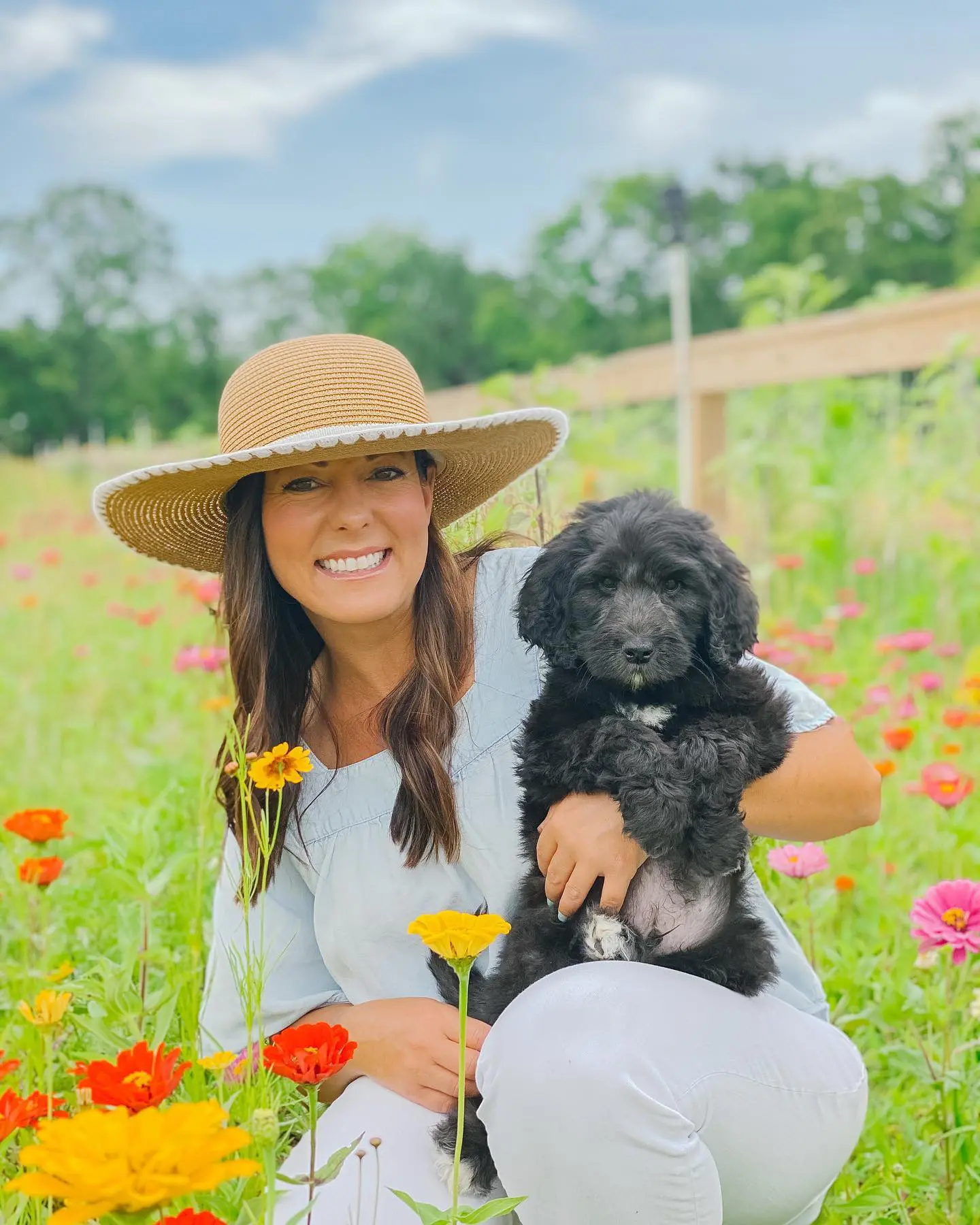 A black golden doodle puppy from Smeraglia Teddybear Goldendoodles on the Smeraglia Farm