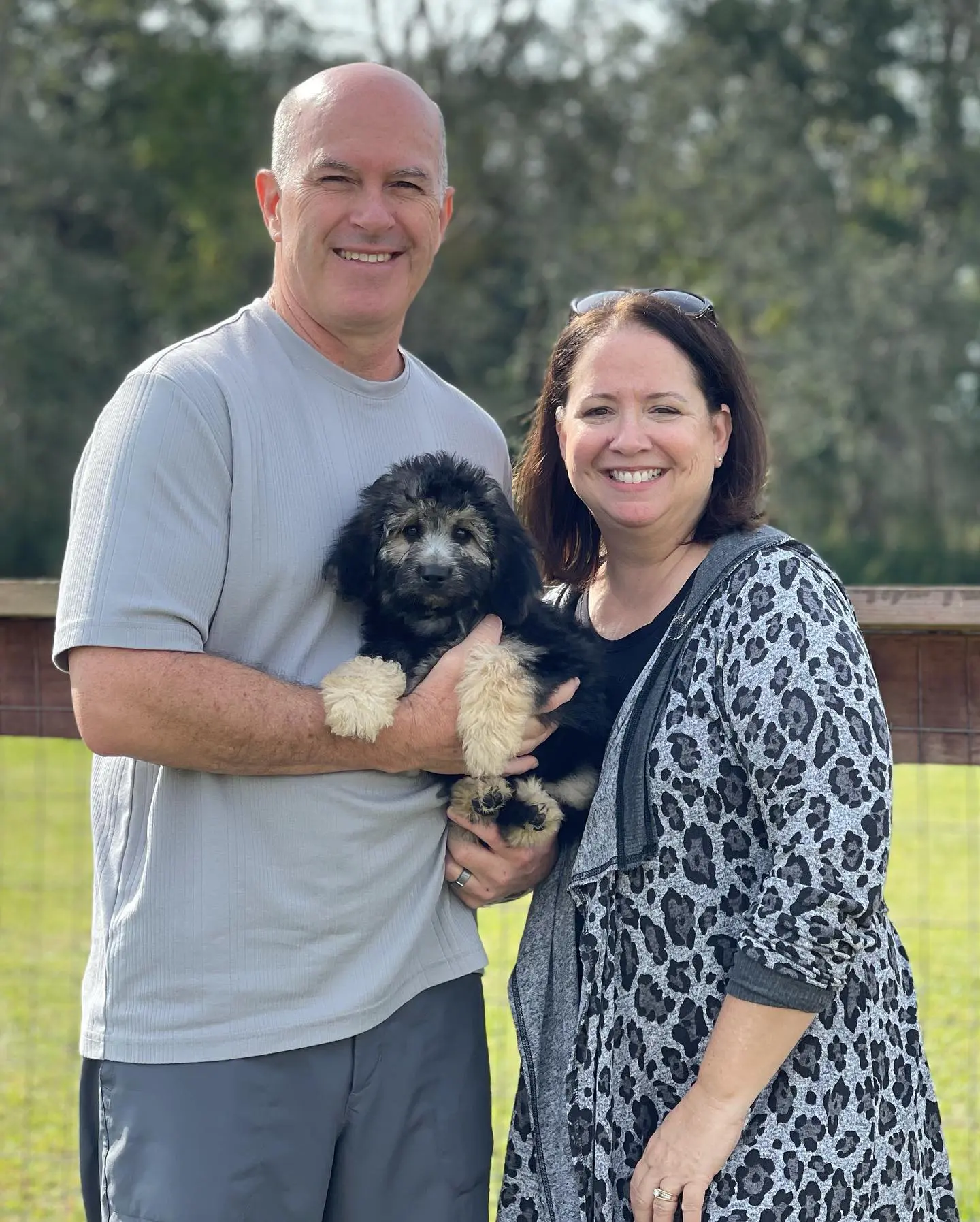 A Smeraglia teddy bear goldendoodle client is proudly holding their beautiful, unique phantom golden doodle. The dog's coat is a striking black and tan, and its eyes are a bright, shining green. This pup is definitely one of a kind!