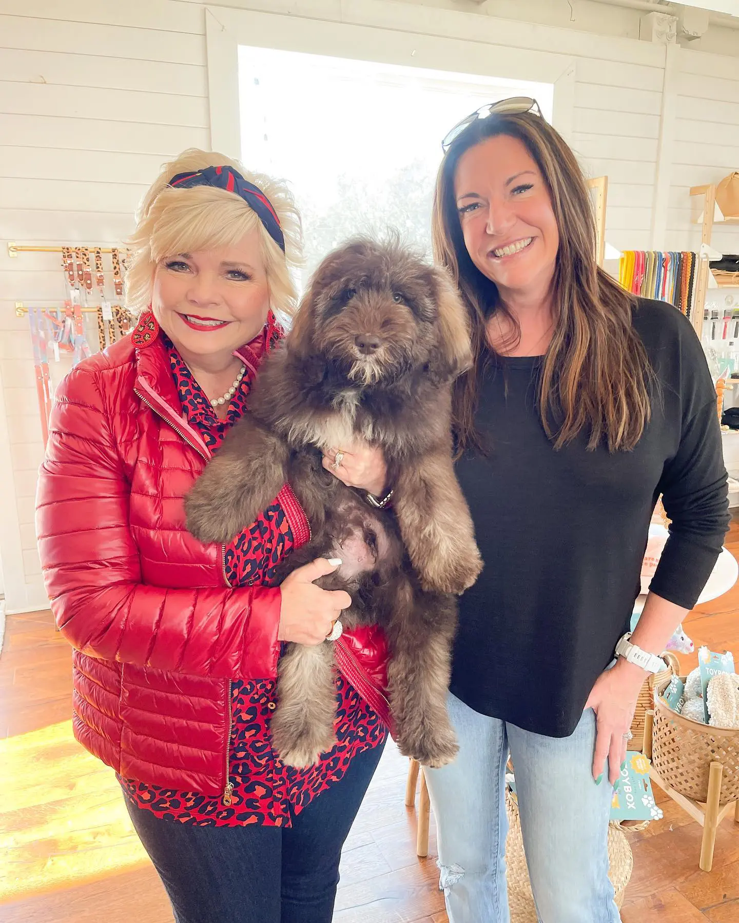Sherri Smeraglia, owner of Teddybear Goldendoodles, with one of her client's first wookie golden doodles. Sherri is a dog breeder who specializes in golden doodles. She has been breeding dogs for over 20 years and has had great success with her goldendoodles.