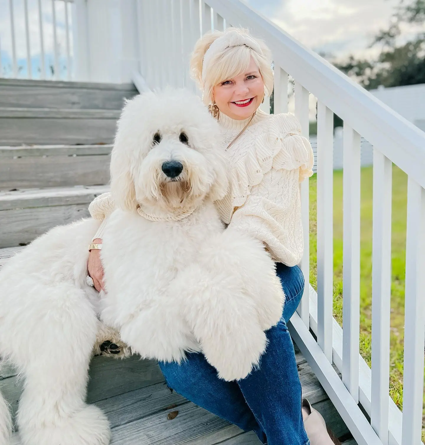 large ultra cream f1b English Teddybrar Golden doodle with sherri Smeraglia