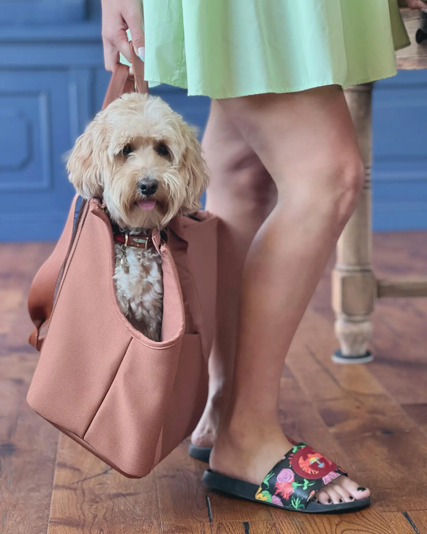 a teddybear twoodle in a pink tote bag