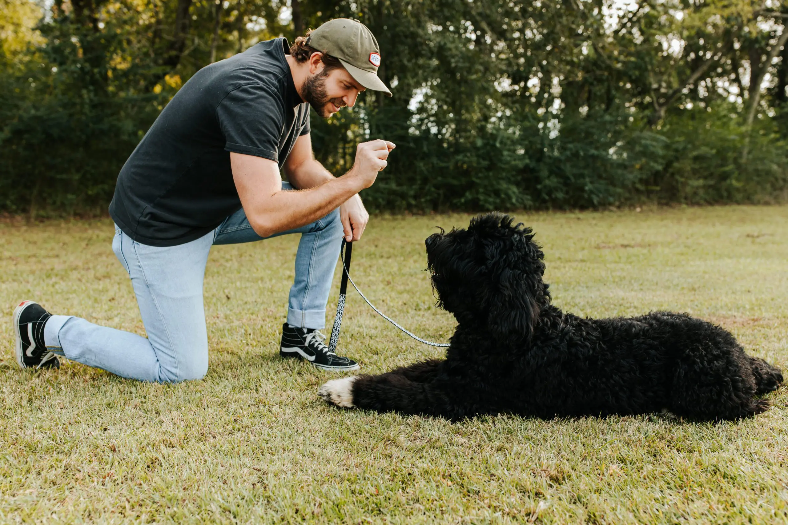 Smeraglia Teddybear Goldendoodle's black goldendoodle getting trained to be a service dog. She is learning how to help people with physical disabilities and allergies. She is a very good dog and is doing well in her training.