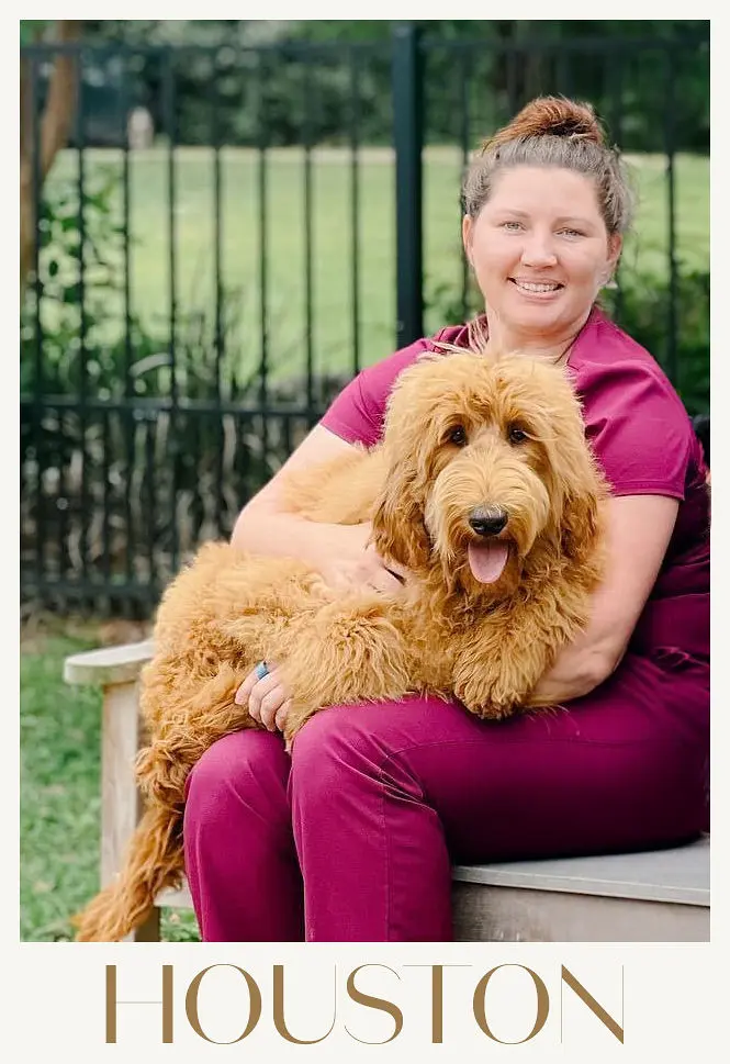 Parents – Teddy Bear Schnoodle Gents