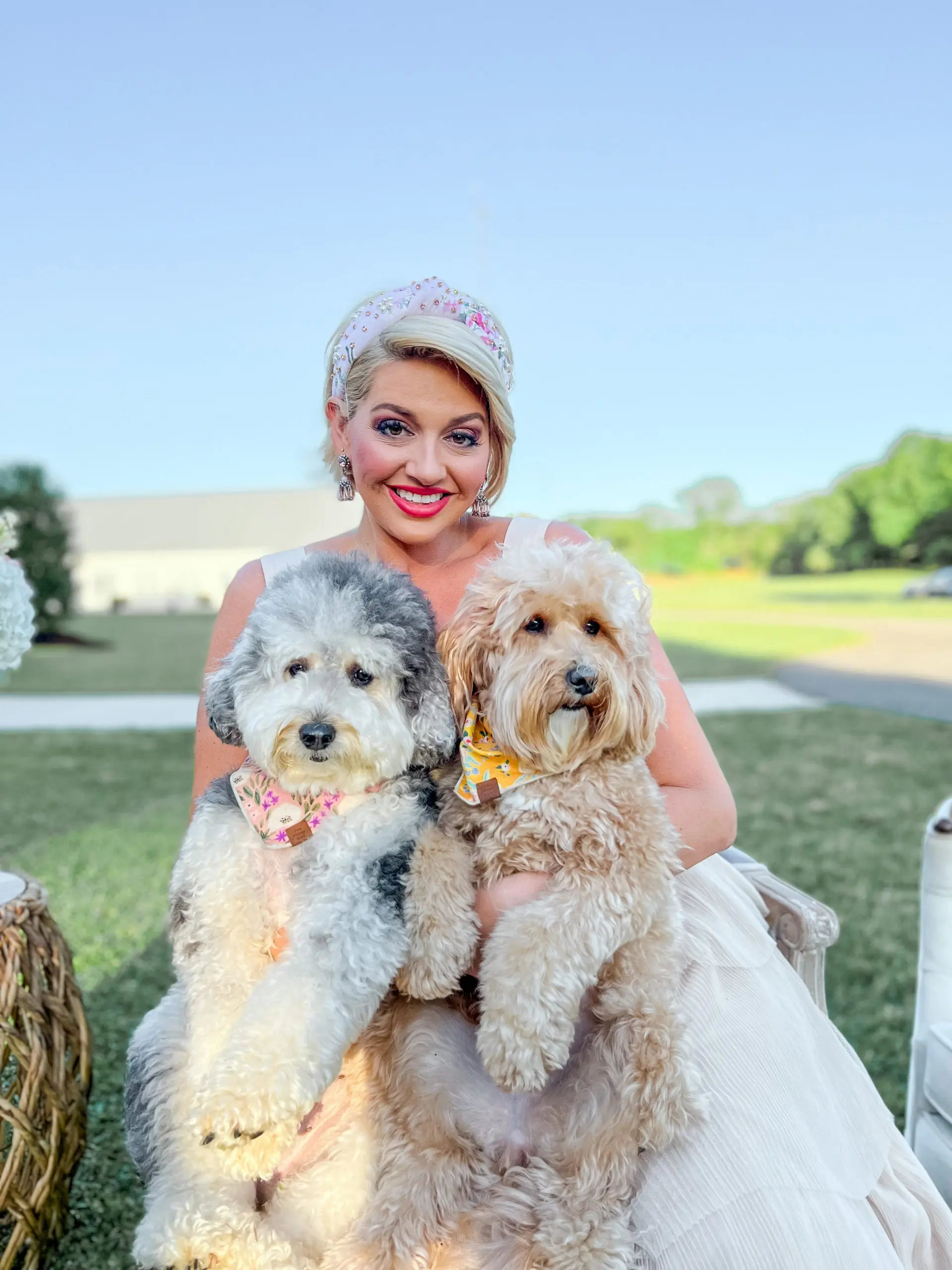 a small teddybear schnoodle and a small teddybear twoodle posing with a woman