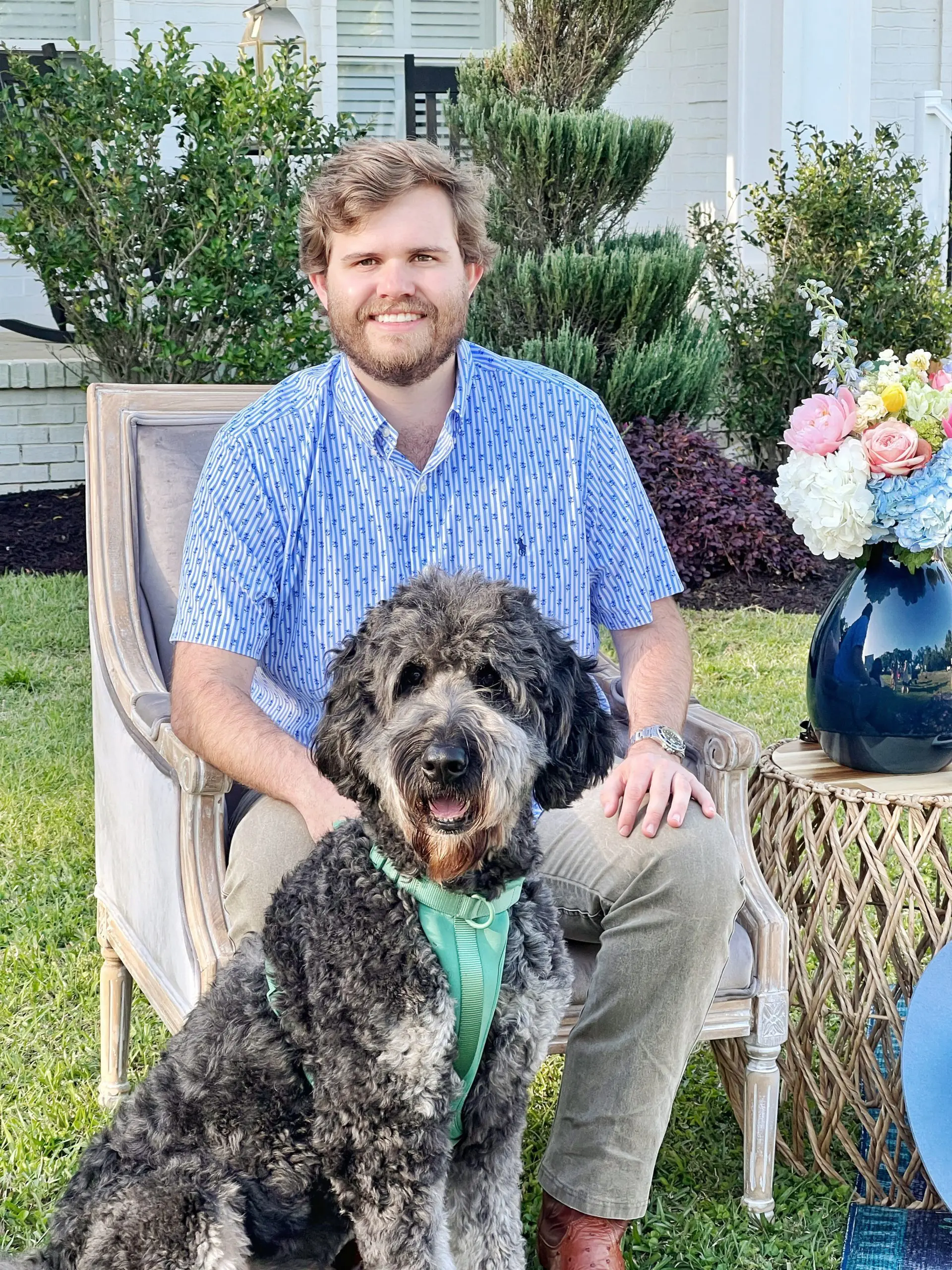 F1 large black English teddybear goldendoodle with his owner