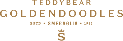 (c) Teddybeargoldendoodles.com