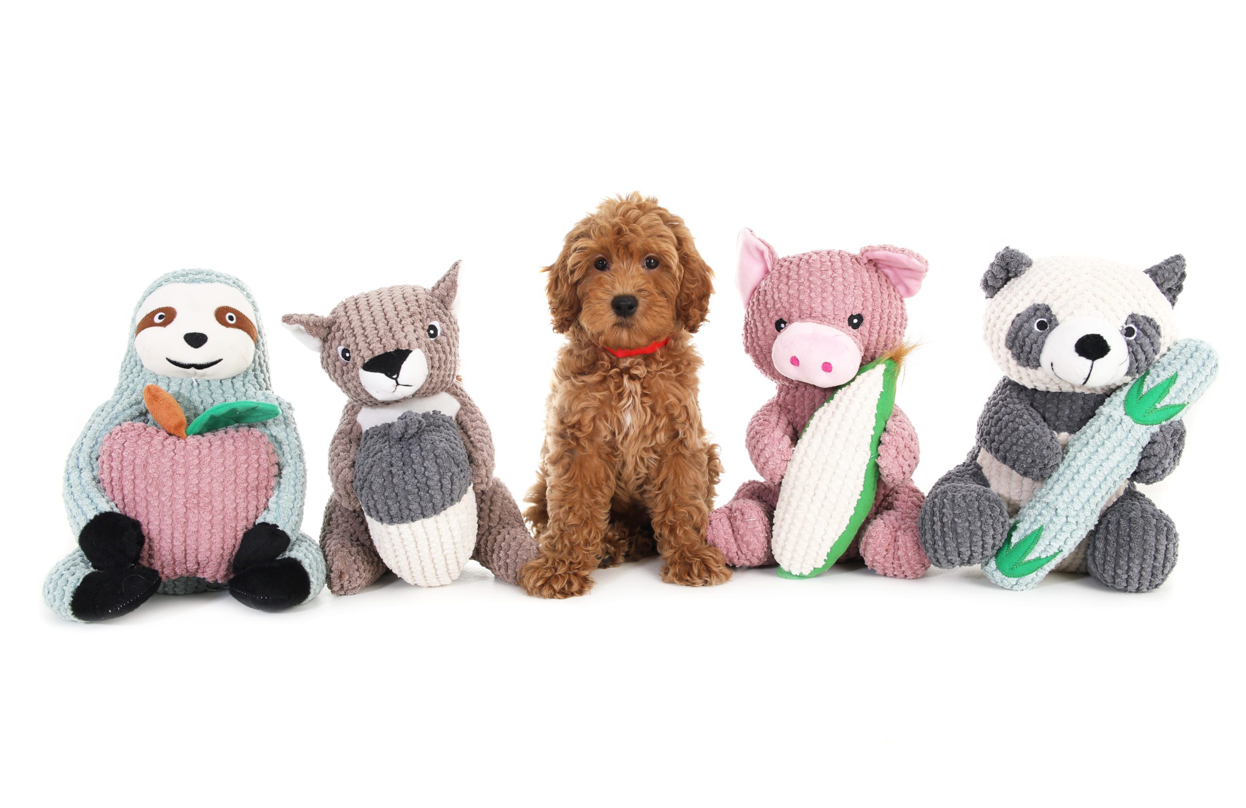 red goldendoodle puppy with stuffed animal friends