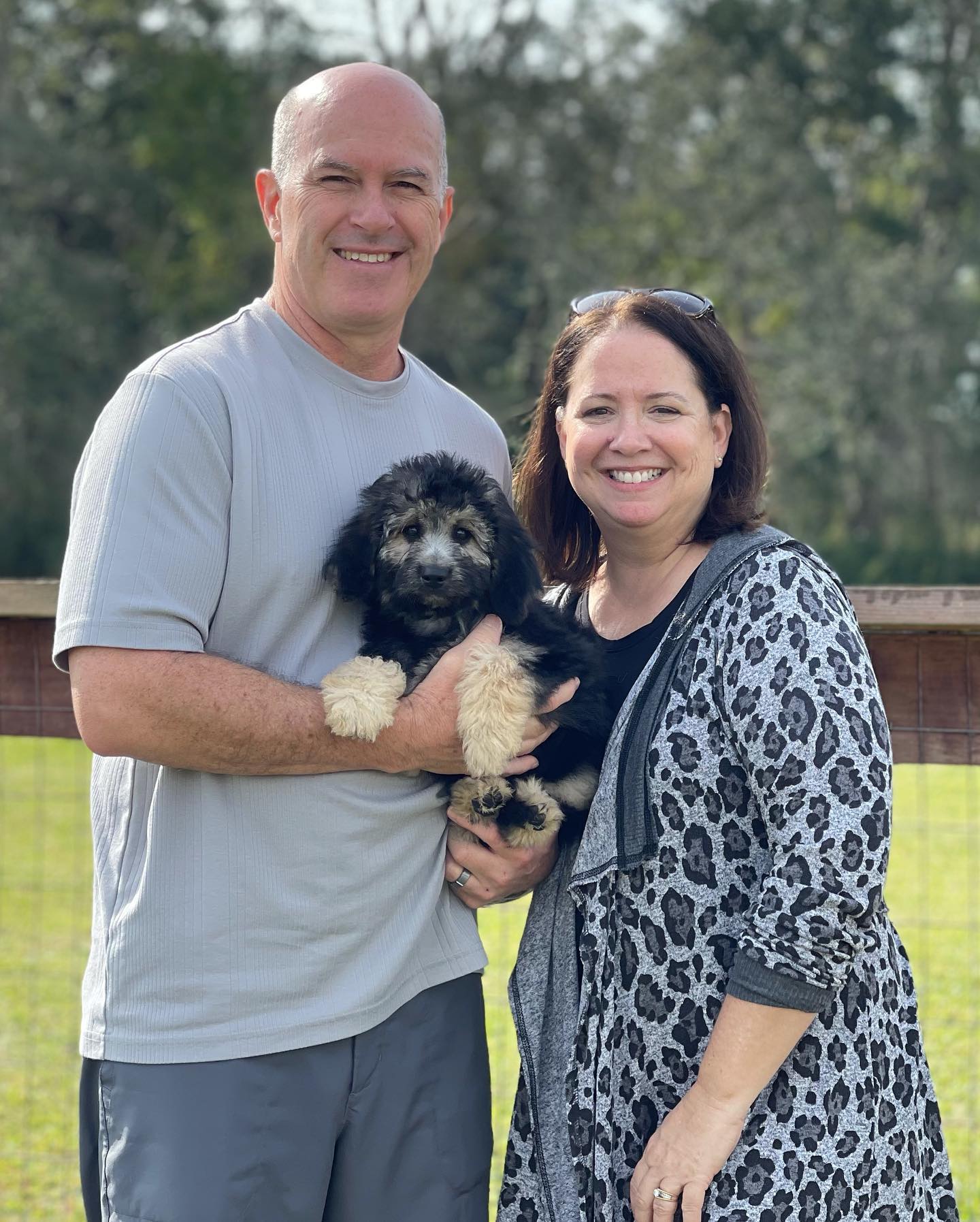 A Smeraglia teddy bear goldendoodle client is proudly holding their beautiful, unique phantom golden doodle. The dog's coat is a striking black and tan, and its eyes are a bright, shining green. This pup is definitely one of a kind!