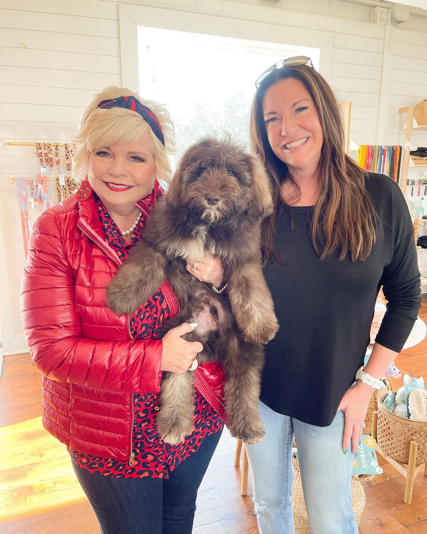 Sherri Smeraglia, owner of Teddybear Goldendoodles, with one of her client's first wookie golden doodles. Sherri is a dog breeder who specializes in golden doodles. She has been breeding dogs for over 20 years and has had great success with her goldendoodles.
