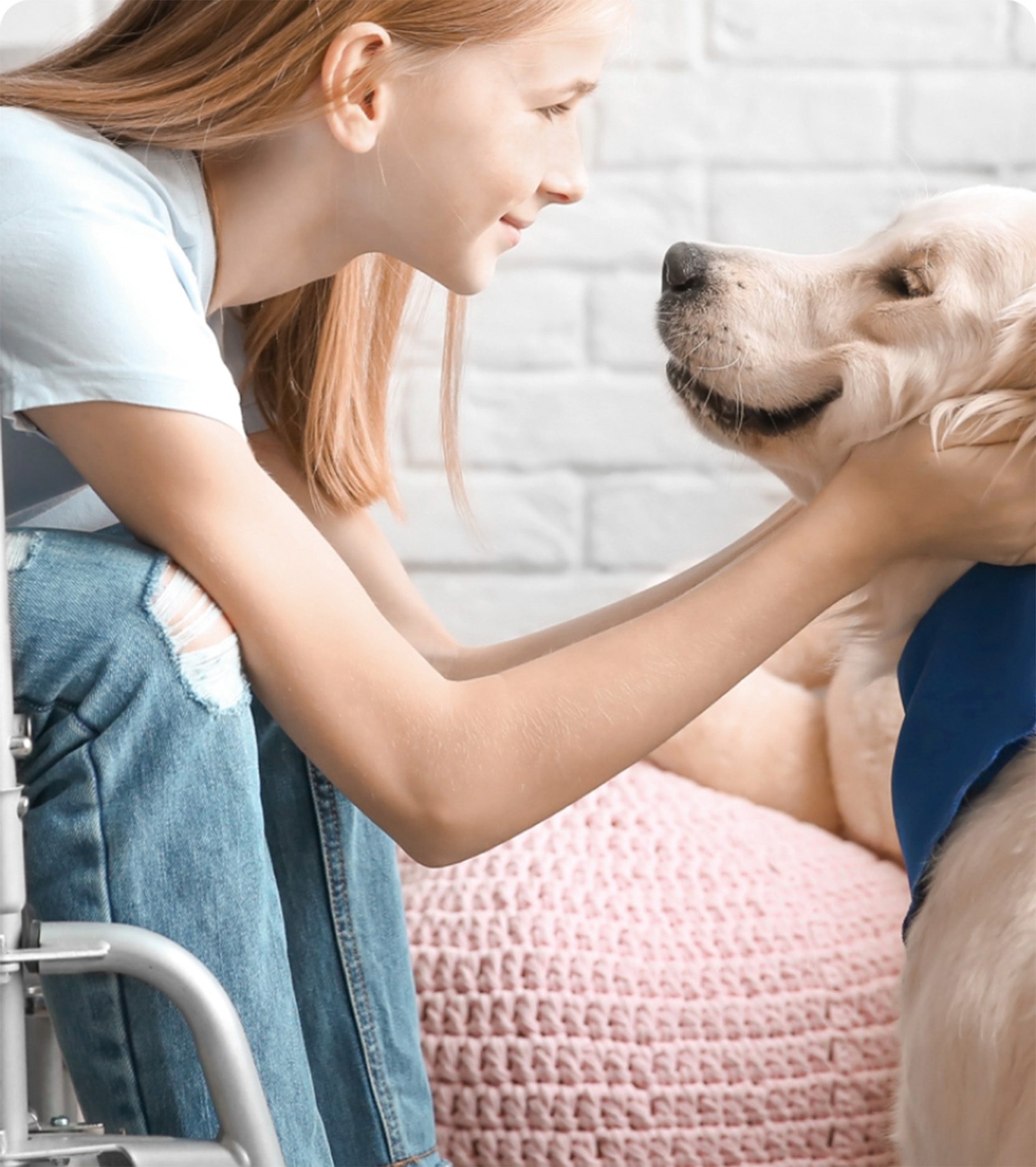 Young girl in a wheelchair with her English Goldendoodle Service Dog.