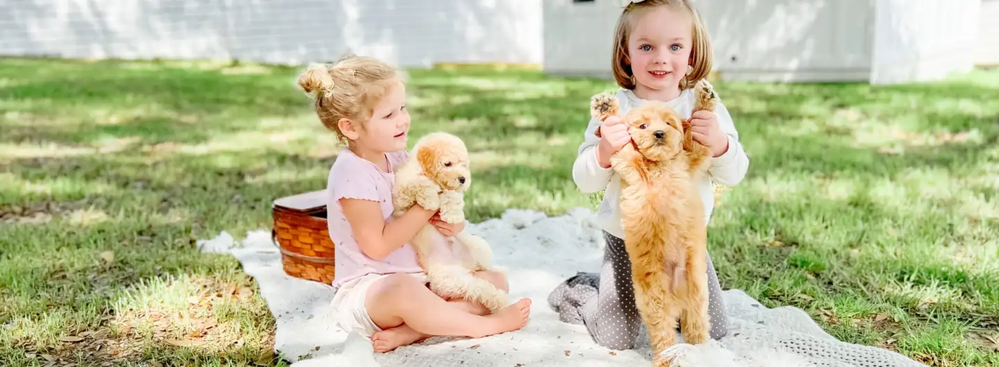 Two little girls on a picnic blanket, each holding a small apricot puppy
