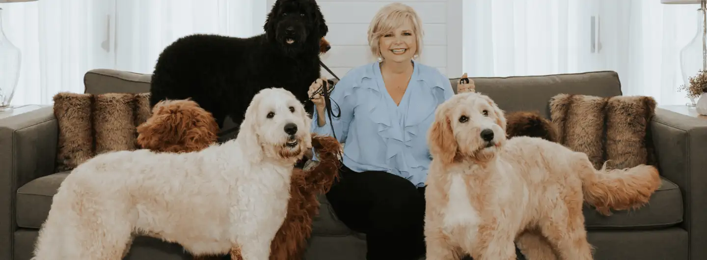Sherri Smeraglia on a sofa with five grown Teddy Bear Goldendoodles